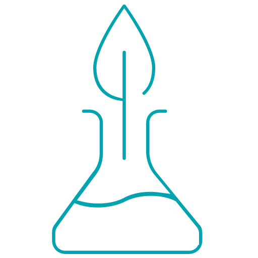 6, Test